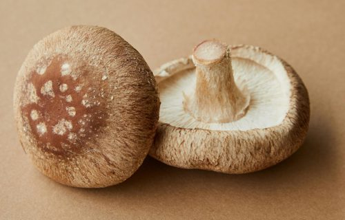 pexels-photo-6157030-6157030 High angle of delicious raw mushrooms with spotted caps placed on light brown background